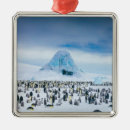 Pesquisar por pinguim imperador ornamentos Pássaro