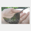 Pesquisar por colibri adesivos Selvagem