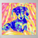 Pesquisar por do dachshund artes pôsteres Weiner