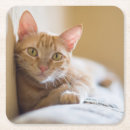 Pesquisar por sofá porta copos Dentro