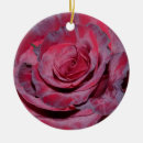 Pesquisar por aumentou ornamentos Natureza