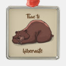 Pesquisar por hibernate Hibernação
