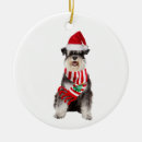Pesquisar por natal schnauzer ornamentos Papais noeis