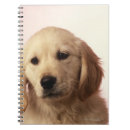 Pesquisar por golden retriever cadernos de notas Natureza