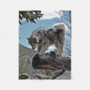 Pesquisar por malamute do alasca Arte