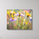 Pesquisar por campo das margaridas pôsteres Flor silvestre
