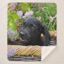 Pesquisar por labrador mantas Cachorrinho
