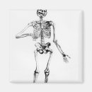 Pesquisar por esqueleto humano imas Anatomia