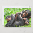 Pesquisar por chimpanzé cartoes Primata