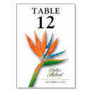 Pesquisar por flores tropicais cartoes de mesa Elegante