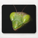 Pesquisar por louva deus eletronicos Predador