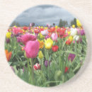 Pesquisar por tulipas bonitas porta copos Colorido