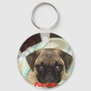 Pesquisar por pug chaveiros Amigo