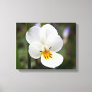 Pesquisar por planta impressão de canvas Primavera