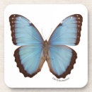 Pesquisar por morpho porta copos Borboleta