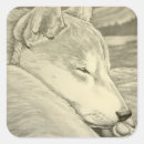 Pesquisar por shiba inu adesivos Japonês
