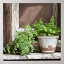 Pesquisar por madeira rústica pósteres pôsteres Cabana