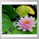 Pesquisar por dalai lama pôsteres Meditação