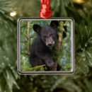 Pesquisar por ursinho bonito ornamentos Ursinhos