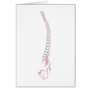 Pesquisar por coluna vertebral cartoes postais Ilustração