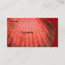 Pesquisar por escudo do mar cartao de visita Costa