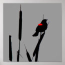 Pesquisar por asa pôsteres Aves