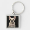 Pesquisar por filhote chaveiros Empresa de pequeno porte