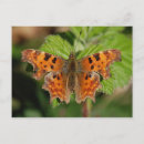 Pesquisar por bristol cartoes postais Avon