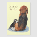 Pesquisar por animais filhotes de cachorro fotos cartoes For her