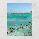 Pesquisar por de mergulho cartoes postais Snorkeling