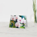 Pesquisar por silk cartoes Orchids