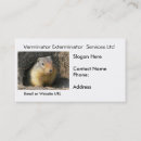 Pesquisar por roedores cartao de visita Esquilo