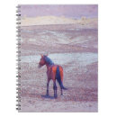 Pesquisar por mustang cadernos de notas Natureza