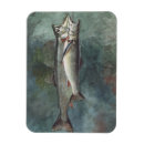 Pesquisar por pinturas da comida imas Vida útil