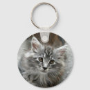 Pesquisar por maine coon chaveiros Gato