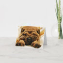 Pesquisar por shar pei vertical cartoes Funny