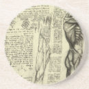 Pesquisar por anatomia porta copos Leonardo da vinci