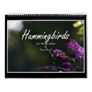 Pesquisar por colibris Natureza