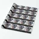 Pesquisar por pug bonito papel de presente Pugs