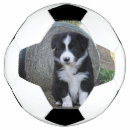 Pesquisar por animal estimação bola futebol Cachorro