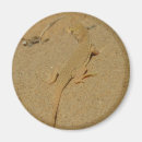 Pesquisar por coleira imas Fotografia