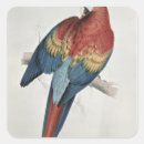 Pesquisar por macaw adesivos Exótico