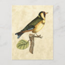 Pesquisar por fundo bege cartoes postais Ramificação