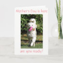 Pesquisar por desejos do dia das mães cartoes Nova mãe