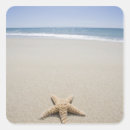 Pesquisar por oceano atlântico adesivos Natureza