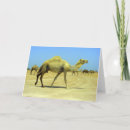 Pesquisar por herda cartoes Animals