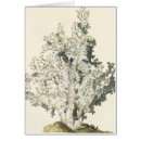 Pesquisar por fundo coral cartoes postais Oceano