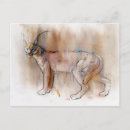 Pesquisar por gato lince cartoes postais Animal