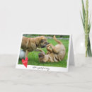 Pesquisar por cute valentine cartoes Happy valentine's day