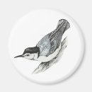 Pesquisar por pica pau cinzento breasted branco Arte